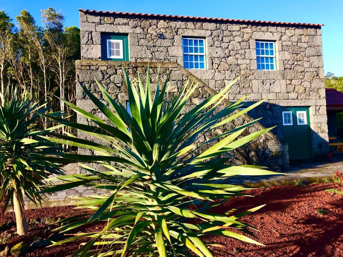 Vila Adega Da Prainha Prainha  Exteriér fotografie